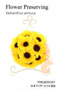 プリザーブドフラワー　加工　教室　日本プリザービスト協会